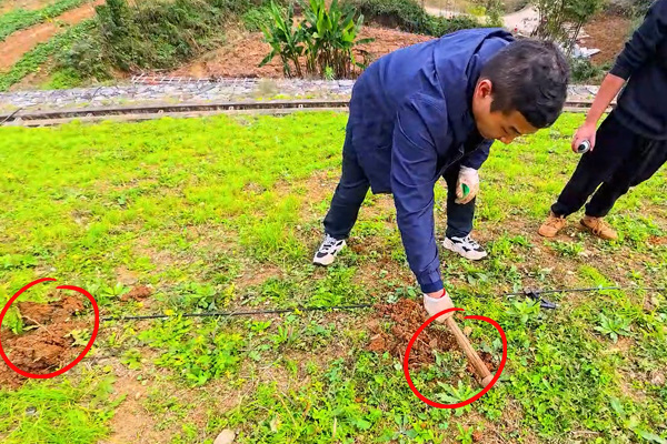 普奇PQ227A 堤防渗漏检测仪 普奇PQ227A 堤防渗漏检测仪